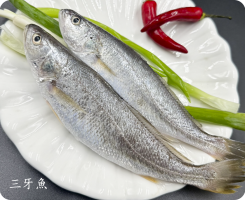 三牙魚