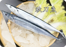 秋刀魚