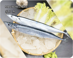 秋刀魚(Mackerel pike)