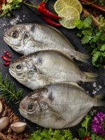 肉魚-生