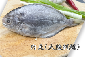 肉魚(大陸刺鯧)