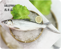 虱目魚(Milkfish)