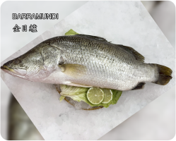 金目鱸(Barramundi)