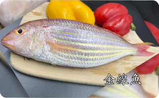 金線魚