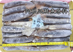 阿根廷魷魚原料