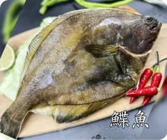 鰈魚