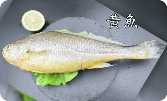 黃魚